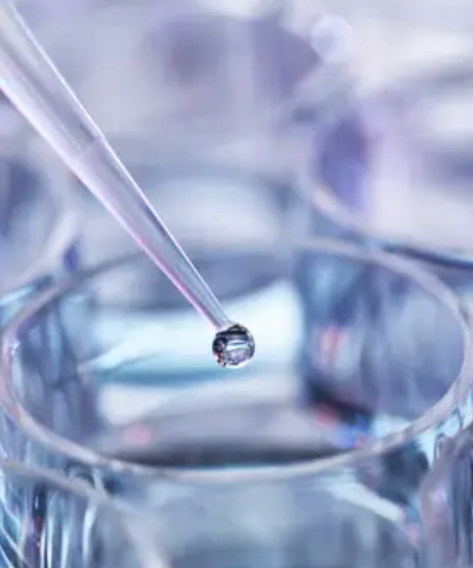 Screenshot 2026-01-15 at 5.50.06 PM